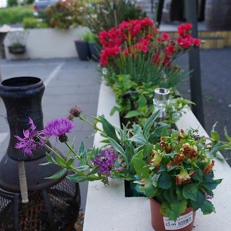 Bed and Breakfast Mountainview Ballyward Esterno foto