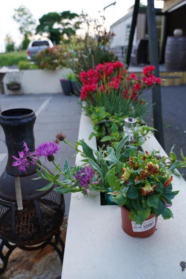 Bed and Breakfast Mountainview Ballyward Esterno foto