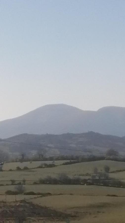 Bed and Breakfast Mountainview Ballyward Esterno foto