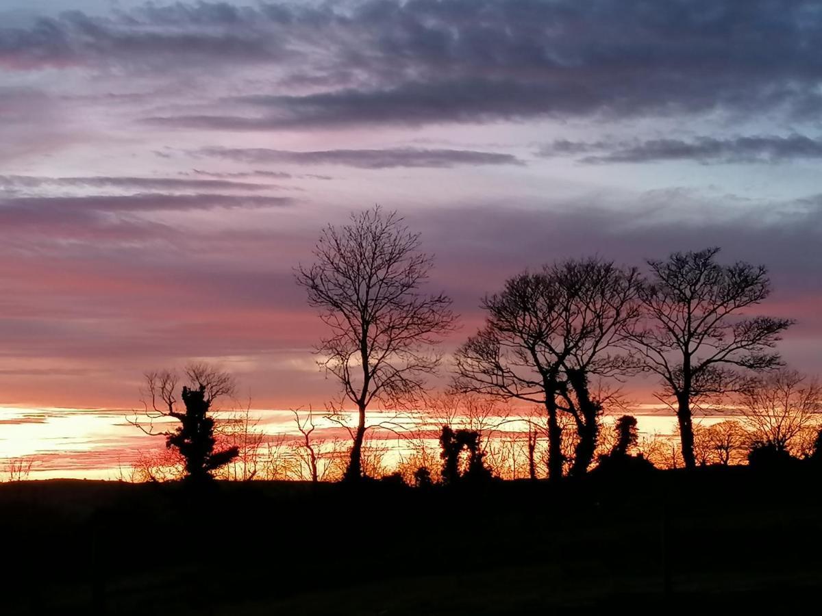 Bed and Breakfast Mountainview Ballyward Esterno foto